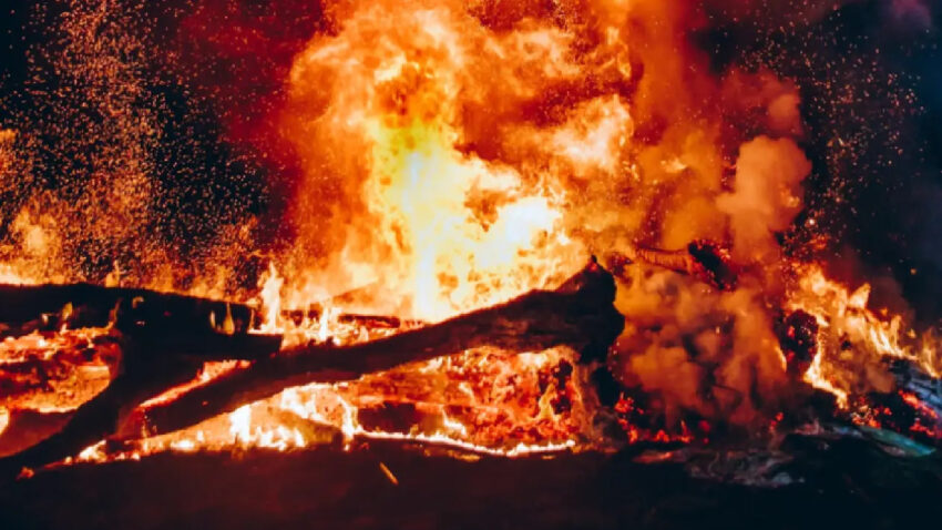 Brandkatastrophe in Nordrhein-Westfalen: Sägewerk von Flammen verschlungen